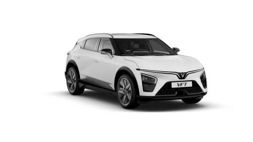 VF7_BrahminyWhite33-scaled-510x287